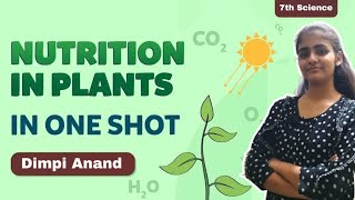 NUTRITION IN PLANTS  CLASS 7  ONE SHOT [upl. by Callum364]