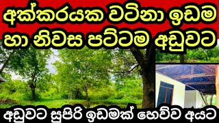 අක්කරයක ඉඩම හා නිවස අඩුම මුදලකට විකිණේ  House for sale  Land for sale  Aduwata idam  idam sale [upl. by Ayarahs]