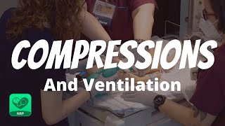 Compressions and Ventilations for Neonatal Resuscitation  NRP Mastery for Nurses [upl. by Ailsun]