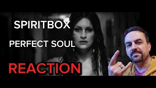 Spiritbox – Perfect Soul Official Music Video REACTION [upl. by Yeltnarb512]