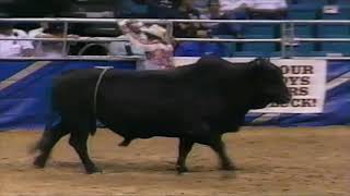 PBR 1994 Freestyle Bullfighting Demo at the Finals [upl. by Nivets442]