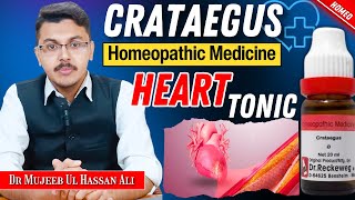 Crataegus Q Homeopathic Medicine Benefits  Crataegus Homeopathic Medicine Uses In Hindi [upl. by Anrapa]