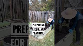 How to Prepare the Raised Bed for Garlic Planting [upl. by Maryanne870]