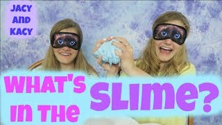 Whats in the Slime Challenge  Jacy and Kacy [upl. by Cohla585]