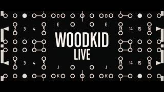 Woodkid Live in Paris 2021  Flashback [upl. by Euqinahc]