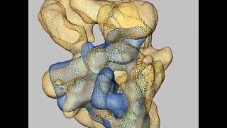 RNA Processing RNA [upl. by Constanta]