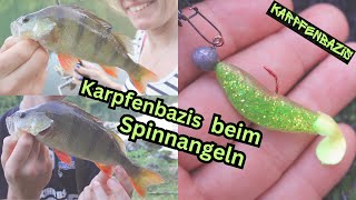 Die Karpfenbazis beim Spinnangeln  Raubfischangeln [upl. by Rehpinnej]