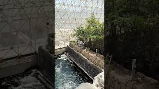 Biosphere 2  Quick Overview Tucson Arizona shorts science [upl. by Hanikahs]