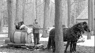 La cabane à sucre Albert Viau 1941 [upl. by Mehitable]