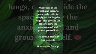 Breath Awareness Anxiety amp Stress Reduction [upl. by Llednohs152]