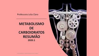 Metabolismo de Carboidratos  RESUMÃO [upl. by Rothstein]