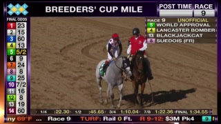 LIVE The Breeders Cup World Championships Saturday [upl. by Morie782]