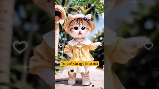 😂🧡cute cat funny dance funny catlover catdance youtubeshorts shorts [upl. by Ainel]