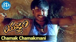 Yagnam Movie  Chamak Chamakmani Video Song  Gopichand Sameera Banerjee  Mani Sharma [upl. by Yellas]