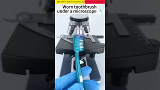 Toothbrush microscope se kaisa dikhta hai 😱🔬 Shorts ytshorts facts ItzAsim46 DEVKeFacts [upl. by Anilef]