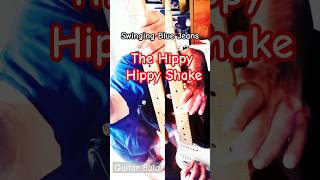 The Hippy Hippy Shake  Guitar Solo [upl. by Luaped]