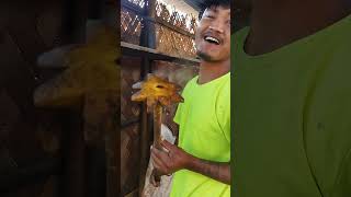 Assamese funny comedy vlog [upl. by Blum223]