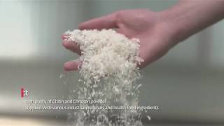 Chitosan Extraction and Production [upl. by Aihsemaj]