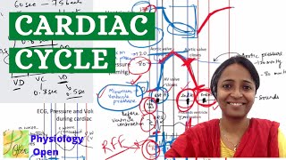 Cardiac cycle physiology mbbs 1st year pressure and volume changes Wiggers diagram CVS physiology [upl. by Isej]