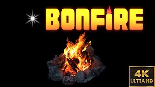 bonfire [upl. by Channa]