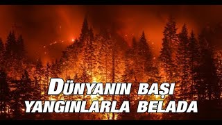 Dünyanın başı yangınlarla belada [upl. by Bartolome]