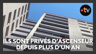 Un immeuble de 14 étages privé dascenseur depuis un an et demi [upl. by Alisen]