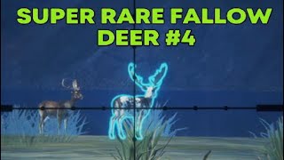 Super Rare Fallow Deer 4 Call of the Wild theHunter [upl. by Puto]