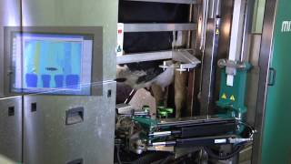 GEA Farm Technologies Automatic Milking System  MIone [upl. by Norrej]