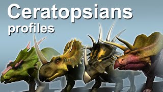 Ceratopsians profiles [upl. by Eiramanig]