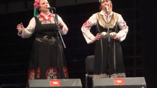 Goran Bregovic  Ederlezi  LIVE  Sofia Bulgaria 29112012 [upl. by Waylan86]