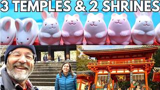 5 Places to VISIT in KYOTO  JAPAN Travel Vlog [upl. by Aihsined]