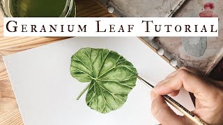 Watercolor Painting Lesson How to Paint a Detailed Geranium Leaf 🌱 [upl. by Hindu]