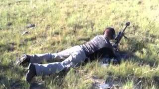 Shooting the Armalite AR50 50 BMG [upl. by Daniyal]