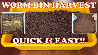 Easy Way to Harvest a Worm Tower  New Feeding amp Cocoon Nursery Start  Vermicompost Worm Farm [upl. by Vito]