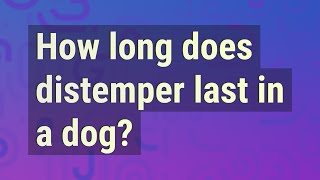 How long does distemper last in a dog [upl. by Gail]