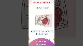 Wound Drainage  Types shots doctor nursing nhs [upl. by Crescentia765]