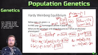 Population Genetics and Hardy Weinberg Example Calculations [upl. by Hairym627]