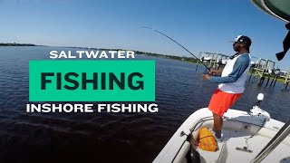 Saltwater Fishing  Inshore Fishing along NC Intracoastal Waterway [upl. by Ayikin]