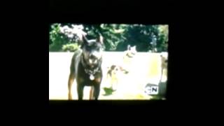 Marmaduke Funny Part Ending Scene [upl. by Erikson]