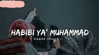 Habibi ya Muhammad Arabic naat new Arabic naat with lyrics slow and reverb [upl. by Meece838]