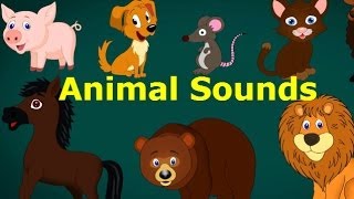 Animal Song For Kids  Animated Nursery Rhymes amp Songs For Kids [upl. by Malvie]