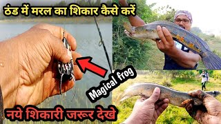 ठंड के मौसम में Maral फिशिंग का सही Time  winter Maral Fishing Tips amp Techniques [upl. by Yadnil]