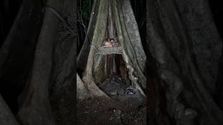 Sleeping under the shade of a giant tree a snake slithers in at midnight camping bushcraft relax [upl. by Ennaitak]