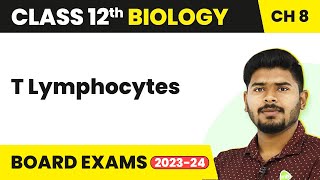 T Lymphocytes  Human Health and Disease  Class 12 Biology 202223 [upl. by Tezil]