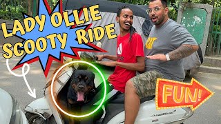 Pregnant Rottweiler Lady Ollie Chali Ghumne Scooty Ride Pe Bubzee Ka Muzzle Tod Diya Lady Ollie Ne [upl. by Matthei833]