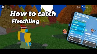 How to catch Fletchling in PBF [upl. by Valente841]