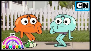 Whos The Real Darwin  Gumball  Cartoon Network [upl. by Asenev]