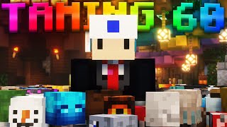 Taming 60 on Ironman Was Brutal Hypixel Skyblock IRONMAN [upl. by Nosittam]