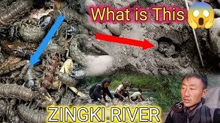 We Went to River zingki river [upl. by Tudor]