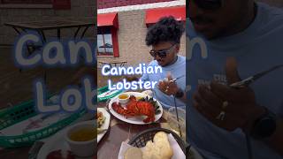 First Time Trying Lobster in CB Canada  How to Break amp Eat It Like a Pro shortsfeed shorts [upl. by Westphal953]